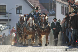 Leonhardi Bad Tölz - 2015 (c) Günther Strauß