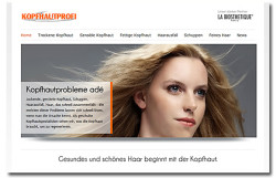 Kopfhautprofi.de (2012-2020)