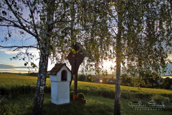 Sonnenaufgang - 2016 (c) Günther Strauß