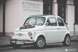 2016 (c) Günther Strauß